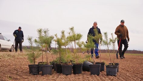 Agromi&scaron;kininkystės įteisinimas Lietuvoje &ndash; būdas padėti tiek ūkininkams, tiek gamtai