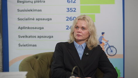 finansu-viceministre-lietuvos-ekonomika-kitamet-pasieks-28-mlrd-euru-es-investiciju