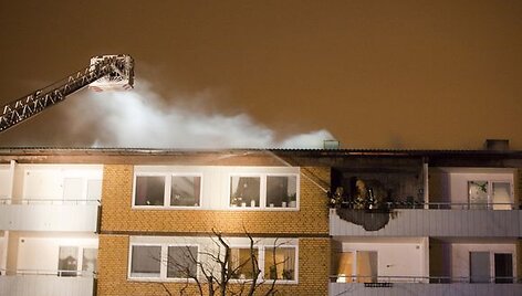 Ugniagesiai gesina gaisrą.