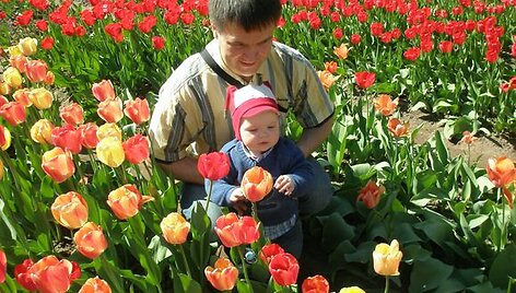 &bdquo;Visos tulpės tau, tėveli!&ldquo;