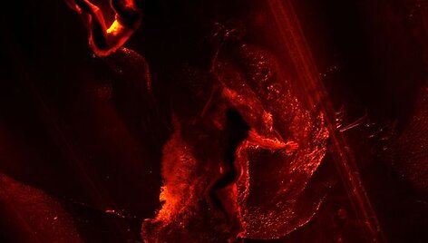 &bdquo;Fuerza Bruta&ldquo; pasirodymas