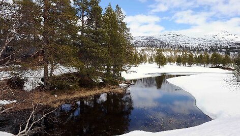 Pavasaris Norvegijos kalnuose