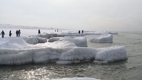 Kur&scaron;ių nerija žiemą