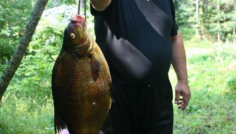 Rimanto kar&scaron;is