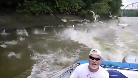 Skraidantys azijieti&scaron;ki karpiai
