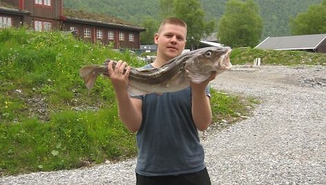 Andriaus norvegi&scaron;ka menkė