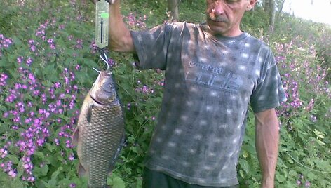 Valdo karosas