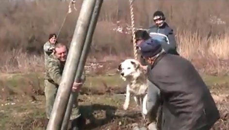 Brodilovo gyventojai įsitikinę, kad toks barbariškas ritualas gali apsaugoti jų šunis nuo pasiutligės.