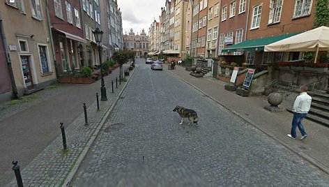 „Google Street View“ automobilis pats įamžino incidentą.