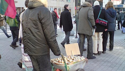 „Fronto“ partijos auksinių svogūnų akcija