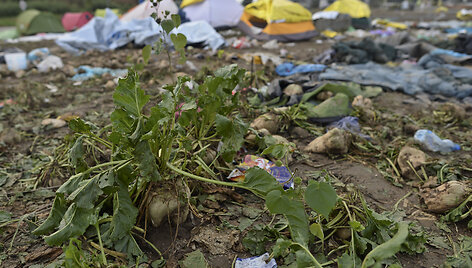 Apleista migrantų stovykla Serbijos ir Kroatijos pasienyje