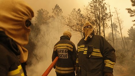 Pietų Afrikos Respublikos ugniagesiai