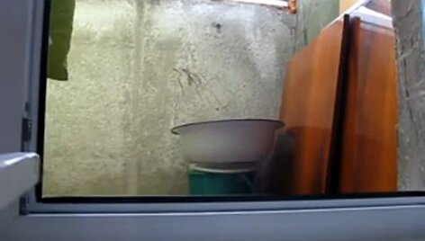 Daugiau nei du milijonai žiūrovų jau žiūrėjo į &scaron;į vaizdelį, laukdami, kas pasirodys už lango.