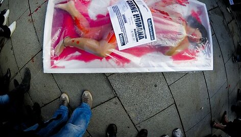 Užsienyje gyvūnų teisių gynimo aktyvistai mėgina drasti&scaron;komis priemonėmis atkreipti dėmesį į problemas.