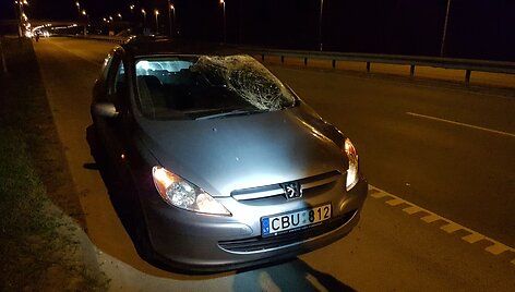 Prie Vilniaus du automobiliai susidūrė su briedžiu.