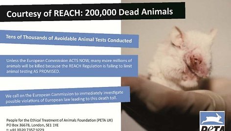 PETA raginimas ištirti įstatymų, reguliuojančių gyvūnų naudojimą bandymams, pažeidimus.
