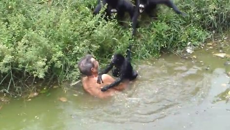 Susidūrimas su beždžionėmis brazilui João Leite dos Santosui baigėsi ne itin linksmai.