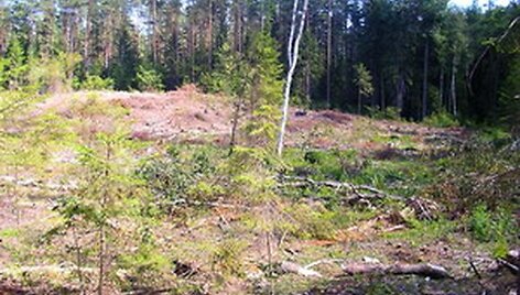&Scaron;venčionių rajone i&scaron;kirstas uteni&scaron;kiui priklausantis mi&scaron;kas.