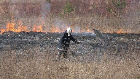 Dega žolė