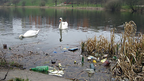 Baltupių tvenkiniai