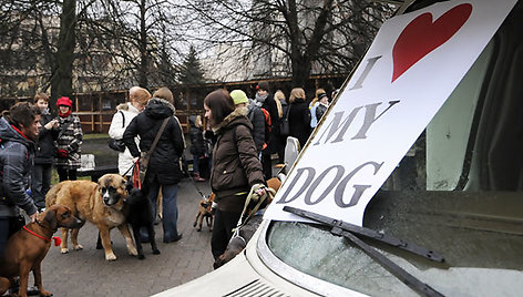 „I love my dog“ („Aš myliu savo šunį“)