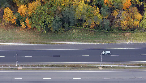 Automagistralė