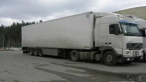 Vilkikas