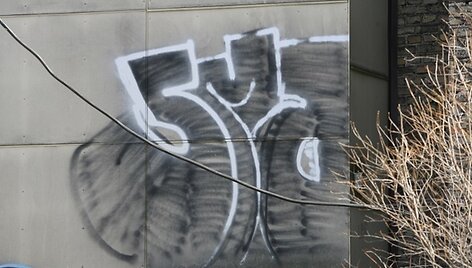 Ant &scaron;ių sienų pai&scaron;ė įkliuvę vaikai