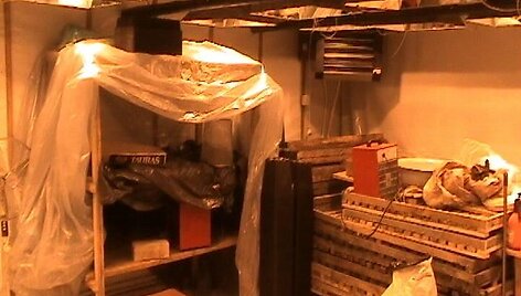 Kanapių auginimo laboratorija