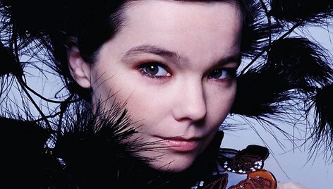 Bj&ouml;rk