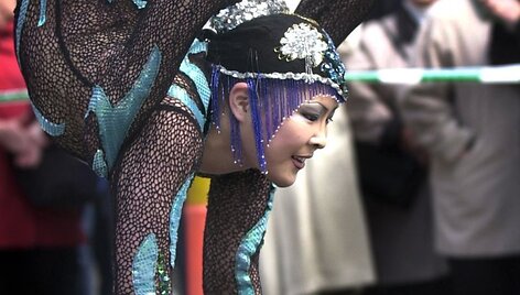 Cirko artistė