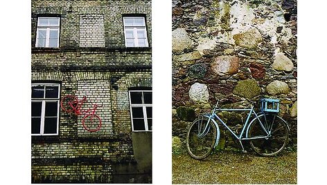 Knygoje D.Kajoko eilėra&scaron;čius papildo R.Rakausko fotografijų diptikai. 