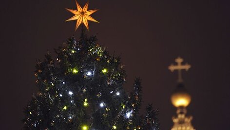 Vatikaną papuo&scaron;ė žaliaskarė.