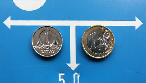 Nacionalistai sieks &bdquo;i&scaron;saugoti litą, atsisakyti euro įvedimo&ldquo;.