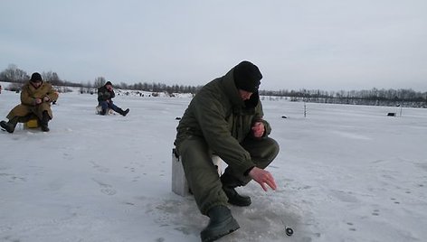Žiemą poledinėje žvejyboje dažniausiai kimba ešeriai ir kuojos.