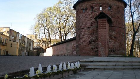 Vandens srovės, fontano pradžioje &scaron;oktelėjusios į vir&scaron;ų, vėliau siauru upeliu nuteka žemyn.