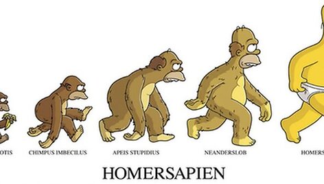 Homersapiens evoliucija
