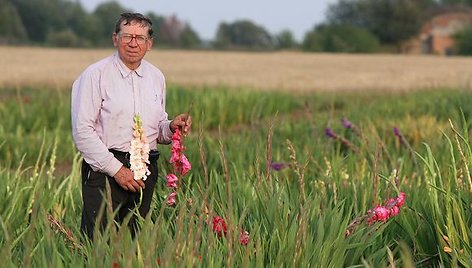 P.Ciplijauskas savo išvestoms kardelių veislėms suteikė ir savo žmonos bei sūnaus vardus. 