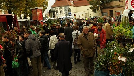 Rudens gėrybės