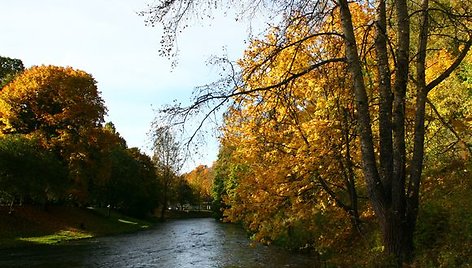 Vilnius nusidažė geltonai