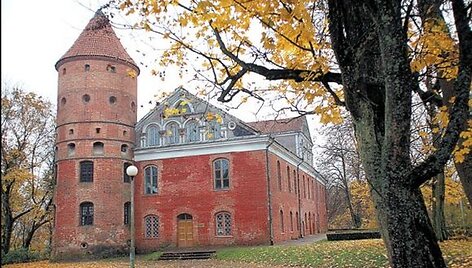 Raudondvario dvaro atkūrimu besirūpinančios įstaigos vadovai nespėja plu&scaron;ėti, tad dalį darbų patiki privatiems konsultantams.