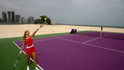 Jelena Dementjeva