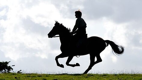 Filmas &bdquo;Karo žirgas&ldquo;