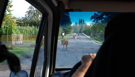 VGTU Turistų klubo narių kelionė į Gruziją