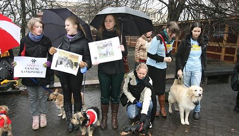 Ketvirtadienį Vilniuje surengta pilietinė akcija „Smurtui prieš gyvūnus – Ne!“.