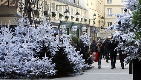 Likus mažiau nei dviem savaitėms iki Kalėdų, į gatves išnešamos ir eglutės. 