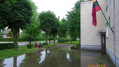 Liūtis sukėlė nepatogumų Kazlų Rūdos gyventojams.