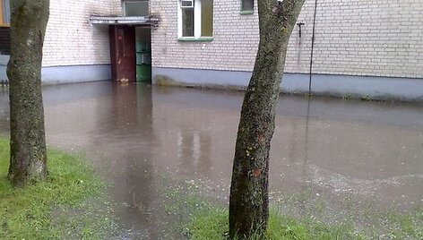 Liūtis sukėlė nepatogumų Kazlų Rūdos gyventojams.