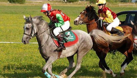 Šeštadienį Raseinių hipodrome vyko žirgų lenktynės „Triguba karūna II“.