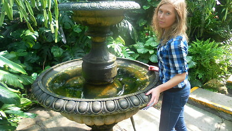 Kazimieto Simonavičiaus universiteto SA prezidentė Viktorija Bučinskaitė